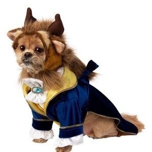 Beauty & the Beast Costume